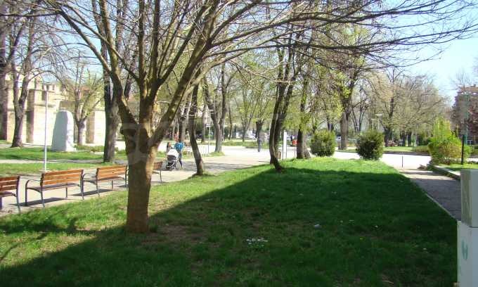 Продава МАГАЗИН, гр. Видин, Център, снимка 16 - Магазини - 56576887