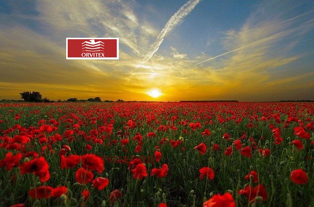 For Sale  Plot region Pazardzhik , Malo Konare , 41028 sq.m | 86465004