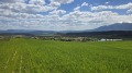 Продава ПАРЦЕЛ, с. Бачево, област Благоевград, снимка 5