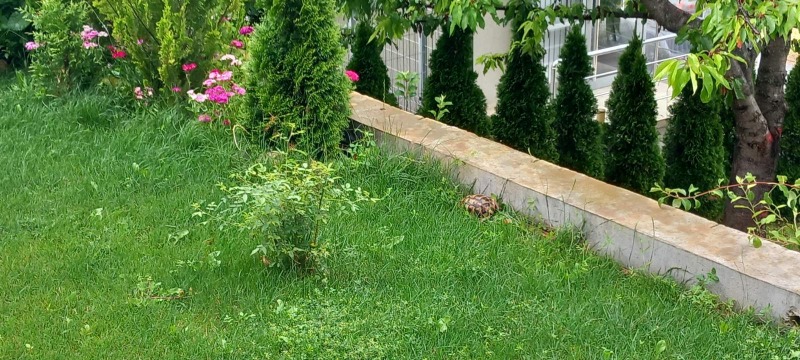 Продава КЪЩА, гр. Стара Загора, Загорка, снимка 5 - Къщи - 52418278