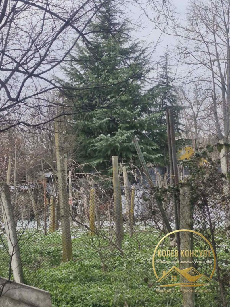 Продава КЪЩА, с. Златна ливада, област Стара Загора, снимка 5 - Къщи - 53153802