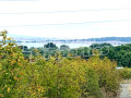 Продава ПАРЦЕЛ, с. Черни връх, област Бургас, снимка 4