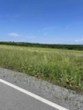 Продава ПАРЦЕЛ, област Бургас, с. Велика • 199725 € / 390628.15 лв. • 60418831 3