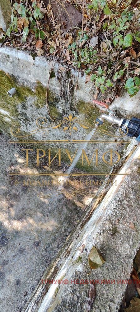 ������� ���� | Imot.bg � ����������� 12