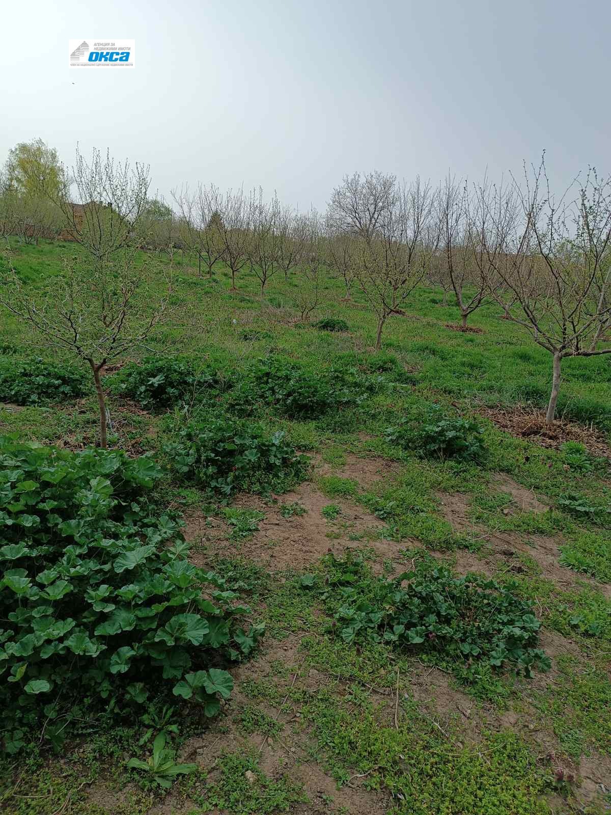 Продава КЪЩА | Imot.bg — изображение 10