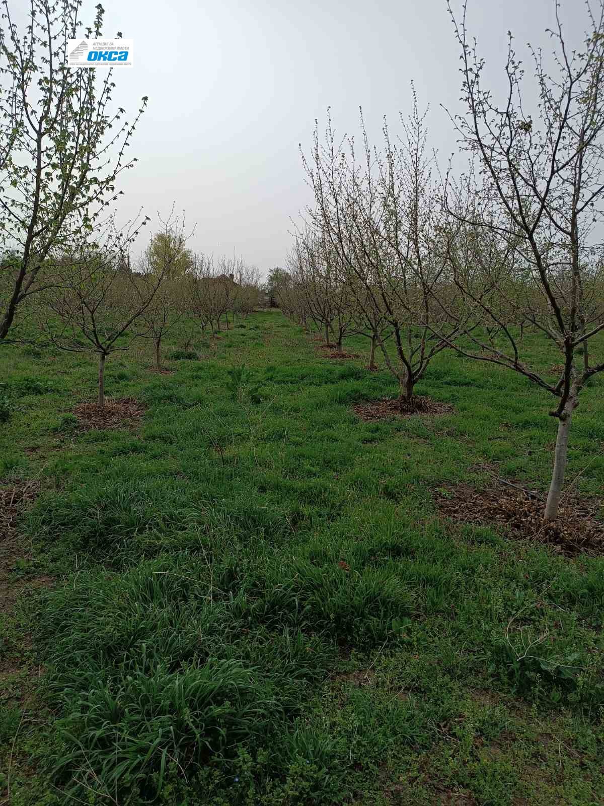 Продава КЪЩА | Imot.bg — изображение 12