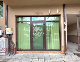 ������ ������� ����