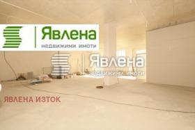 ����� ������� �������,���� �����, ������