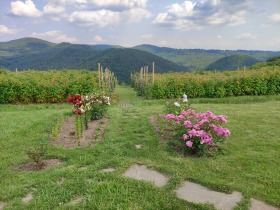 ������� ���� | Imot.bg � ����� ������ 2