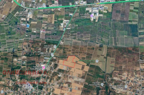 ������ ������� ������