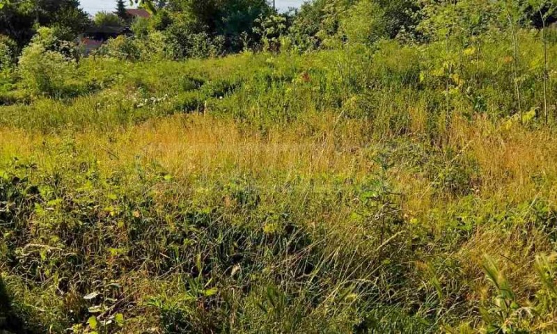 Na sprzedaż  Działka region Warny , Tutrakanci , 990 mkw | 58598233 - obraz [4]