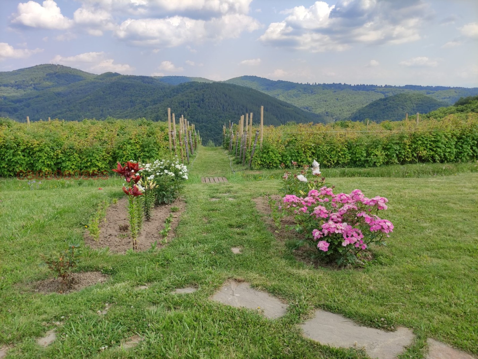 Продава ПАРЦЕЛ, гр. София, с. Железница, снимка 2 - Парцели - 53810431