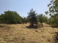 Продава ПАРЦЕЛ, гр. Варна, м-т Ментешето, снимка 3