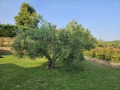 Продава КЪЩА, Гърция, Халкидики • 670000 € • 40566636 — Holmes.bg