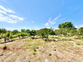 Plot Vinogradets, region Pazardzhik