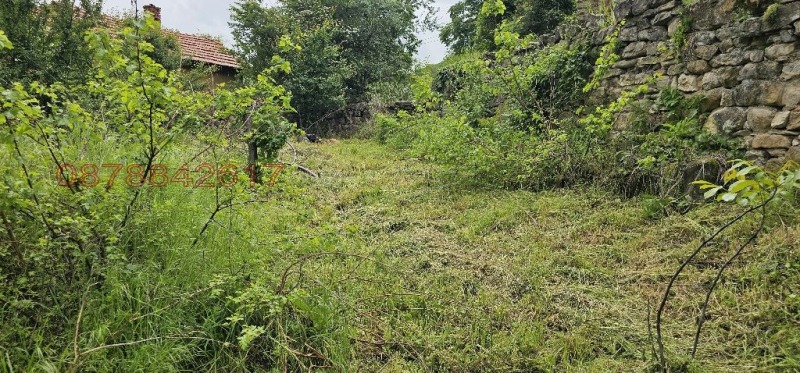Продава ПАРЦЕЛ, с. Лютиброд, област Враца, снимка 17 - Парцели - 52779318