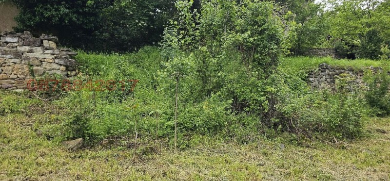 Продава ПАРЦЕЛ, с. Лютиброд, област Враца, снимка 15 - Парцели - 52779318