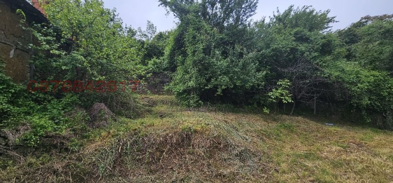 Продава ПАРЦЕЛ, с. Лютиброд, област Враца, снимка 10 - Парцели - 52779318