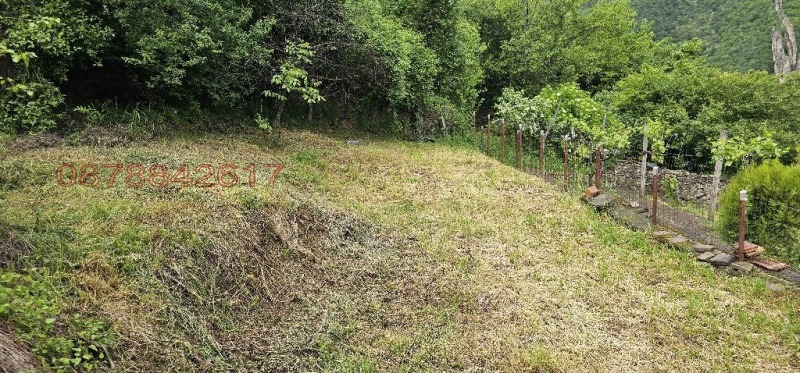 Продава ПАРЦЕЛ, с. Лютиброд, област Враца, снимка 11 - Парцели - 52779318