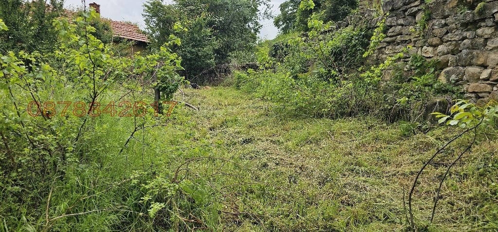 Продава ПАРЦЕЛ, с. Лютиброд, област Враца, снимка 17 - Парцели - 53638078