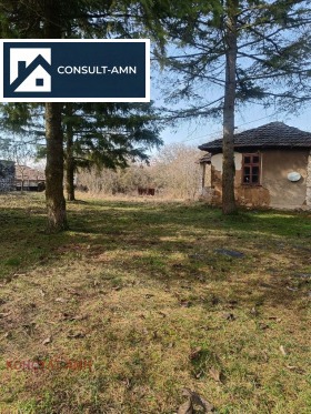 ����� ������� ������,�. �����, ������ �����