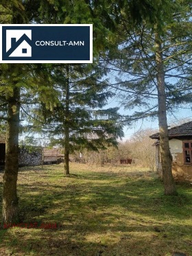 ����� ������� ������,�. �����, ������ �����