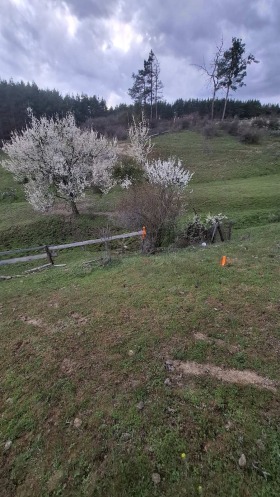 ������ ������� ���������� ����