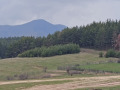 Продава ЗЕМЕДЕЛСКА ЗЕМЯ, гр. Велинград, област Пазарджик, снимка 4