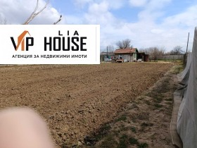 ����� ������� ������,�. ���� ������, ������ ���������