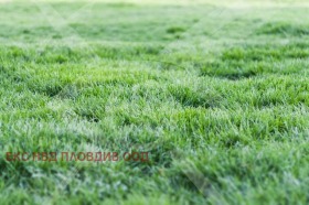 ����� ������� ������,��. ����������, ������ �������