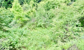 ������� ���� | Imot.bg � ����� ������ 16