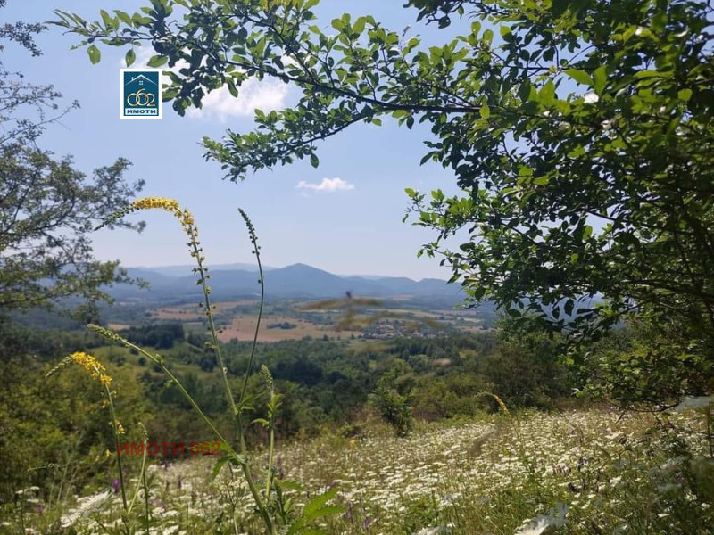 For Sale  Plot region Veliko Tarnovo , Poprusevtsi , 1100 sq.m | 82014369