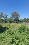 Продава ПАРЦЕЛ, с. Горан, област Ловеч, снимка 6