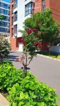 Продава 3-СТАЕН, град Бургас, Меден рудник - зона Д • по договаряне • 75510323 — Holmes.bg