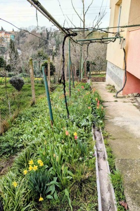 ������� ���� | Imot.bg � ����� ������ 11