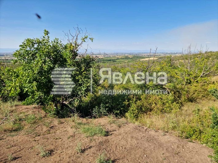 For Sale  Plot region Plovdiv , Brestovitsa , 1000 sq.m | 72692792 - image [2]