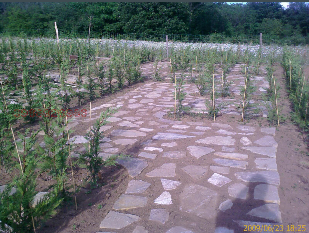 Продава ПАРЦЕЛ, гр. Антоново, област Търговище, снимка 4 - Парцели - 54005056