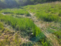 Продава ПАРЦЕЛ, с. Дебели лаг, област Перник, снимка 3