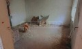 Продава  Къща област Бургас , с. Черноград , 108 кв.м | 61392456 - изображение [13]