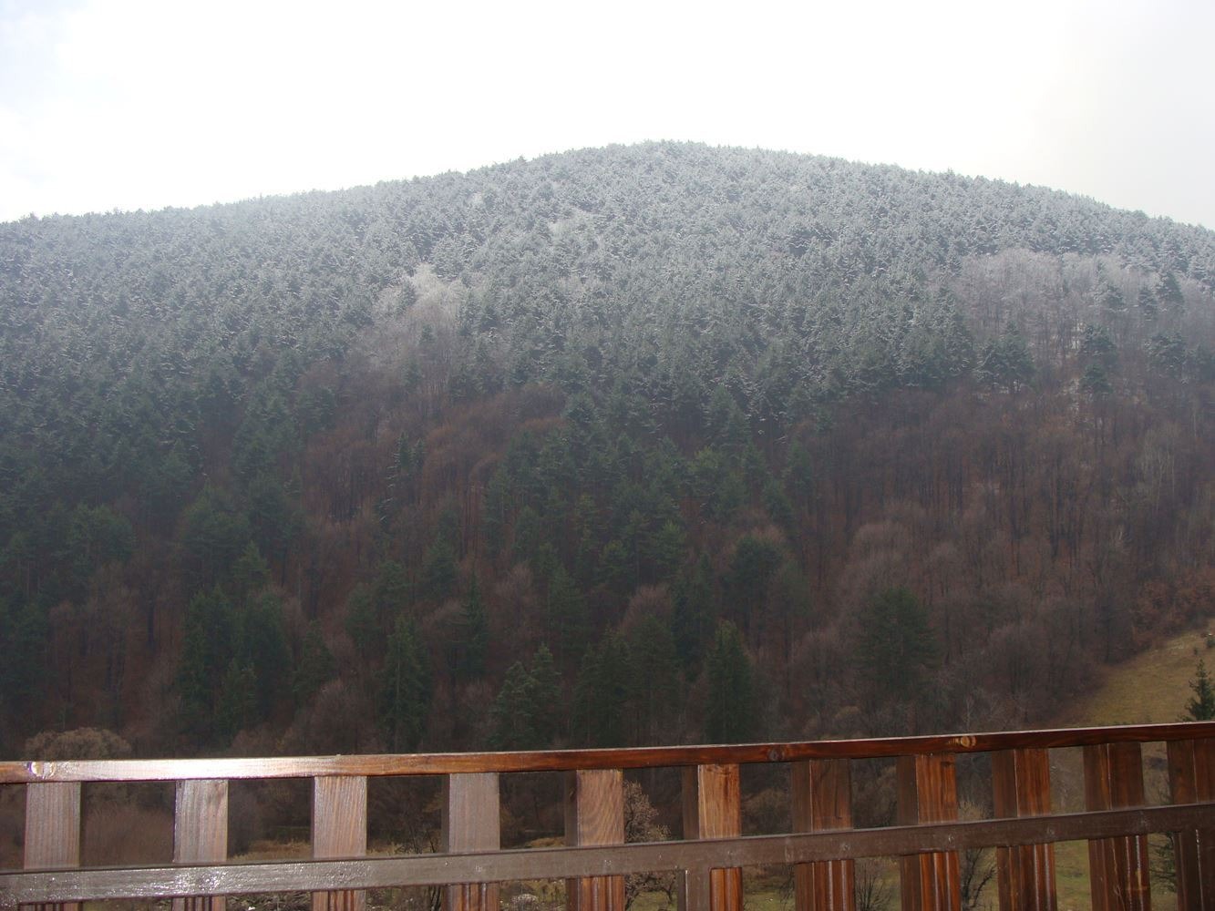 ������� 2-����� | Imot.bg � ����������� 9