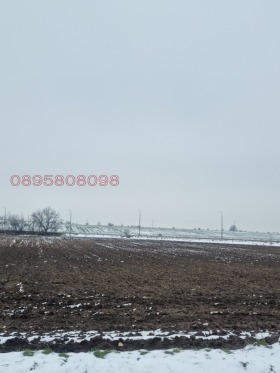 ������� ������ | Imot.bg � ����� ������ 3