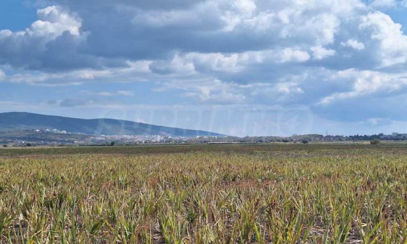 Продава ПАРЦЕЛ в област Бургас, к.к. Слънчев бряг - 5722 кв.м / 34 500 € » 67 476.14 лв., СУПРИММО - БУРГАС