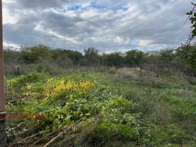 ������� ���� | Imot.bg � ����� ������ 11