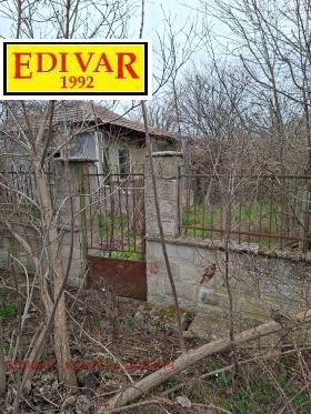 ����� ������� ����,�. ��������, ������ ������