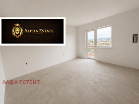 ����� ������� ����,���� �����, ��������