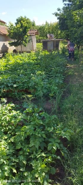 ������� ���� | Imot.bg � ����� ������ 17