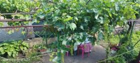 ������� ���� | Imot.bg � ����� ������ 7