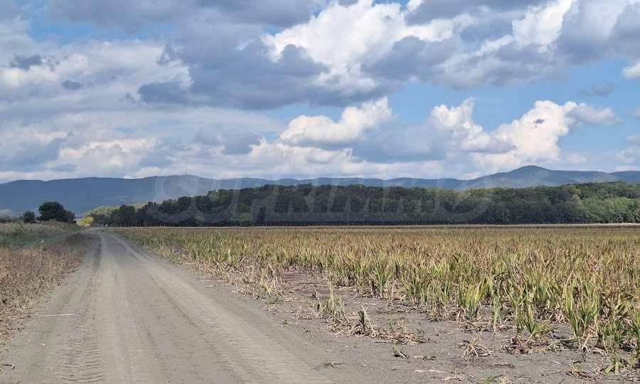 Продава ПАРЦЕЛ, к.к. Слънчев бряг, област Бургас, снимка 2 - Парцели - 46844830