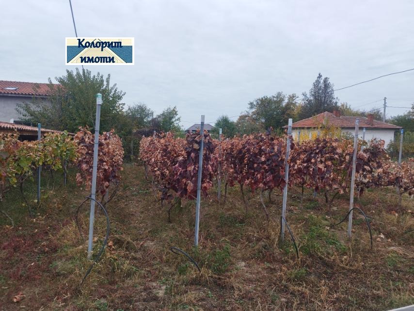 ������� ���� | Imot.bg � ����������� 5