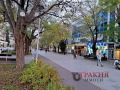 Продава ОФИС, град Стара Загора, Център • 15000 € / 29337.45 лв. • 55092505 2